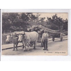 SEMUR: attelage de boeufs - très bon état