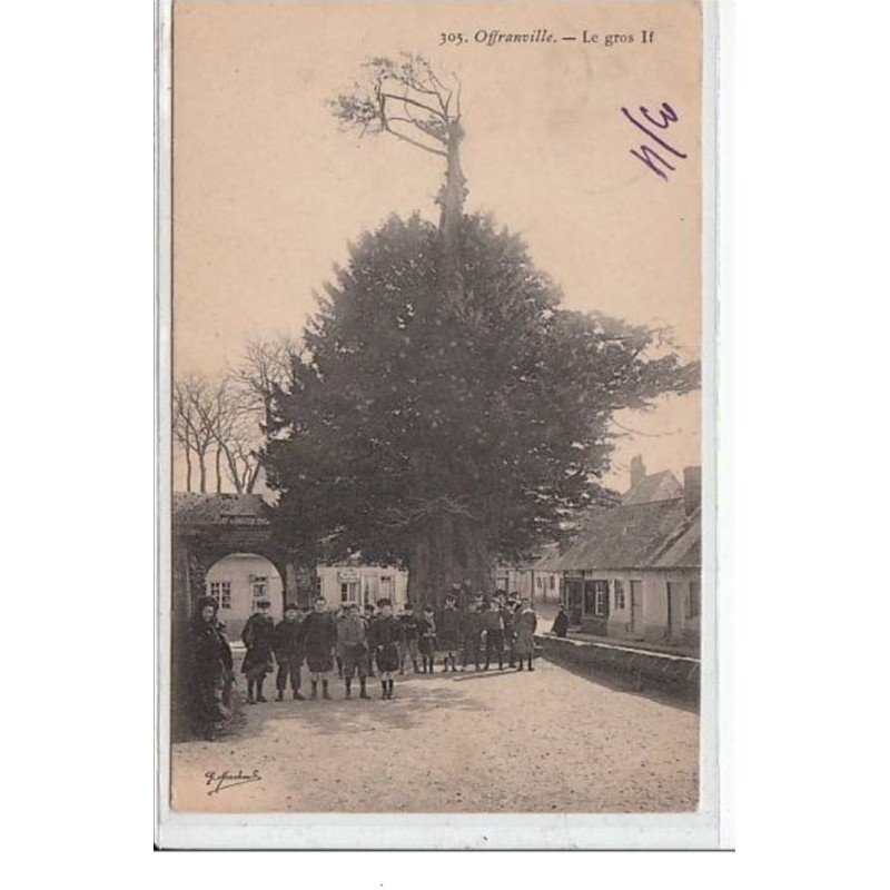 OFFRANVILLE : le gros if - très bon état