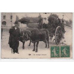 Attelage limousin - très bon état