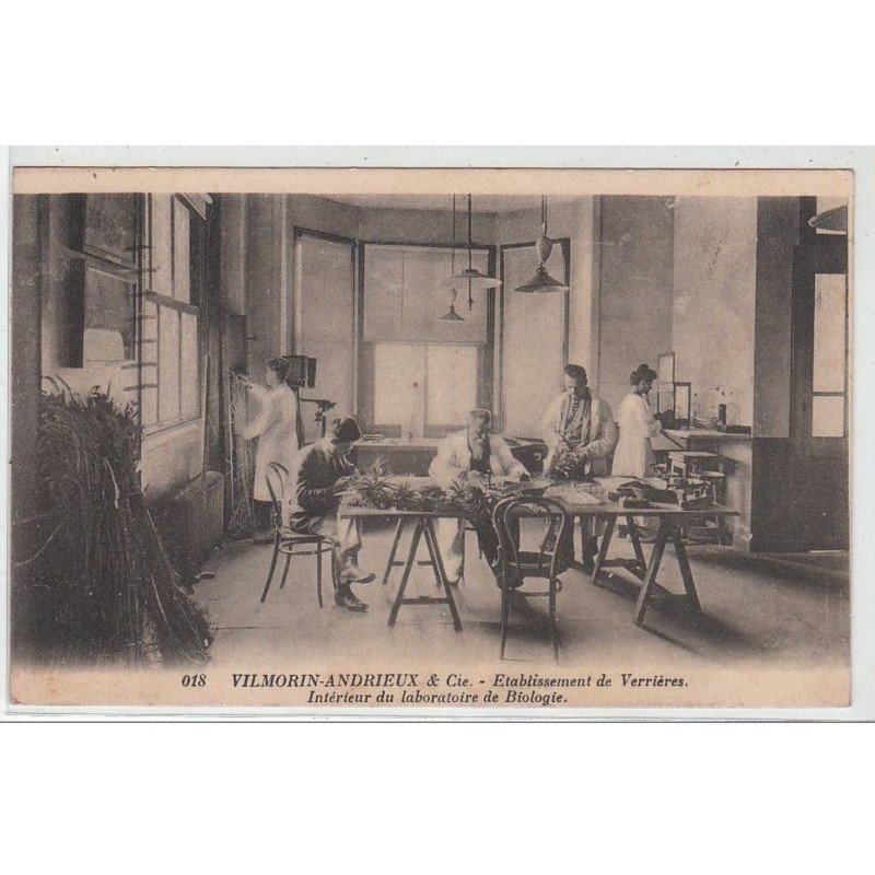 VERRIERES : Viilmorin-Andrieux & Cie - établissement de Verrières - intérieur du laboratoire de biologie - très bon