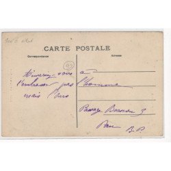 ARIEGE : un ours du pays - etat