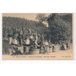 SALINS-les-BAINS : scenes de vendnges villa des riantes - tres bon etat