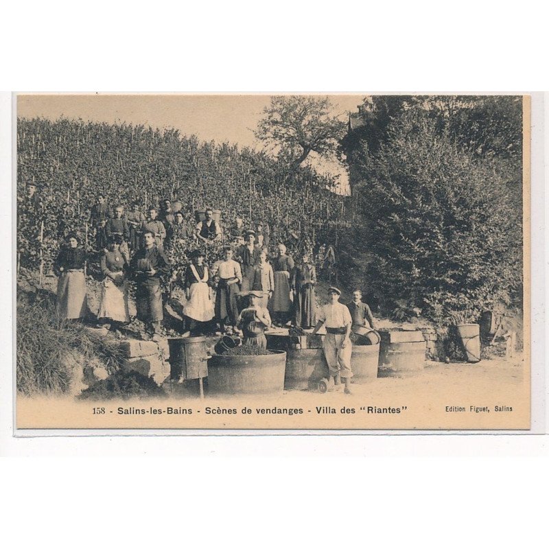 SALINS-les-BAINS : scenes de vendnges villa des riantes - tres bon etat