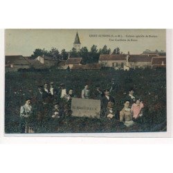 GRISY-SUISNES : culture spéciale de rosiers, une cueillette de roses - tres bon etat