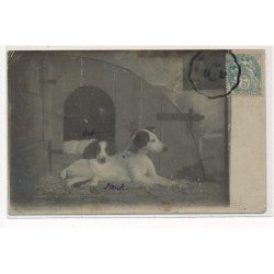 COUILLY-sur-MARNE : 2 chiens - tres bon etat