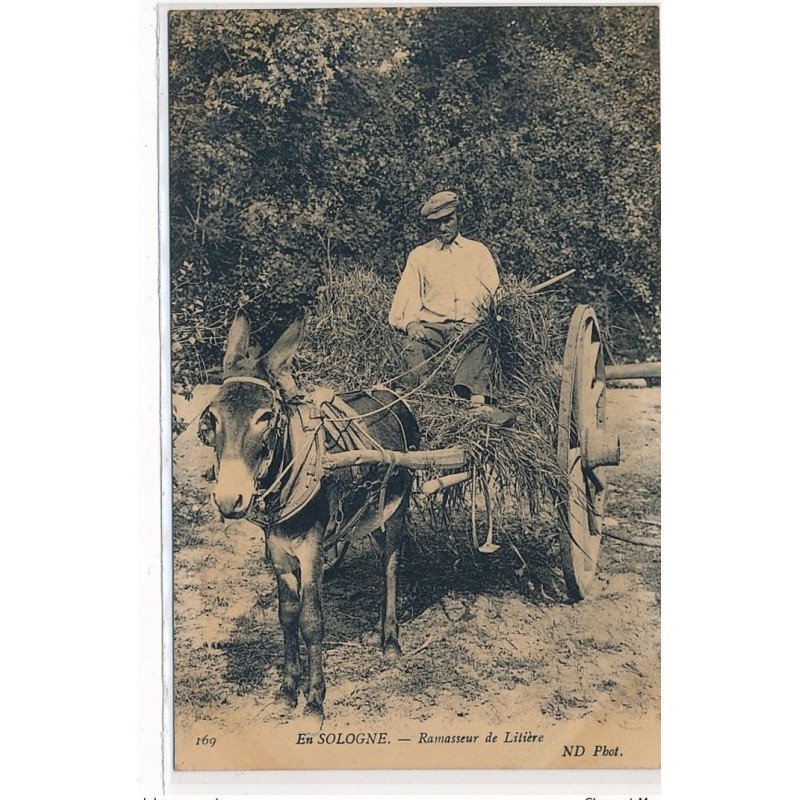 EN SOLOGNE : ramasseur de litiere - tres bon etat