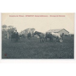 ETRETAT : domaine du tilleul, elevage de chevaux - très bon état