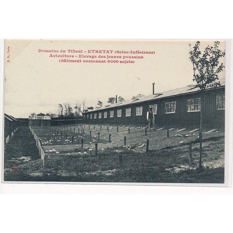ETRETAT : domaine du tilleul, aviculture, elevage des jeunes poussins (batiment contenant 6000 sujets) - très bon état
