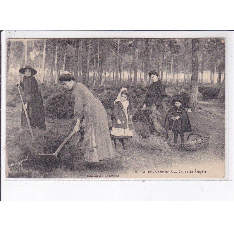 LANDES: coupe de bruyère - très bon état