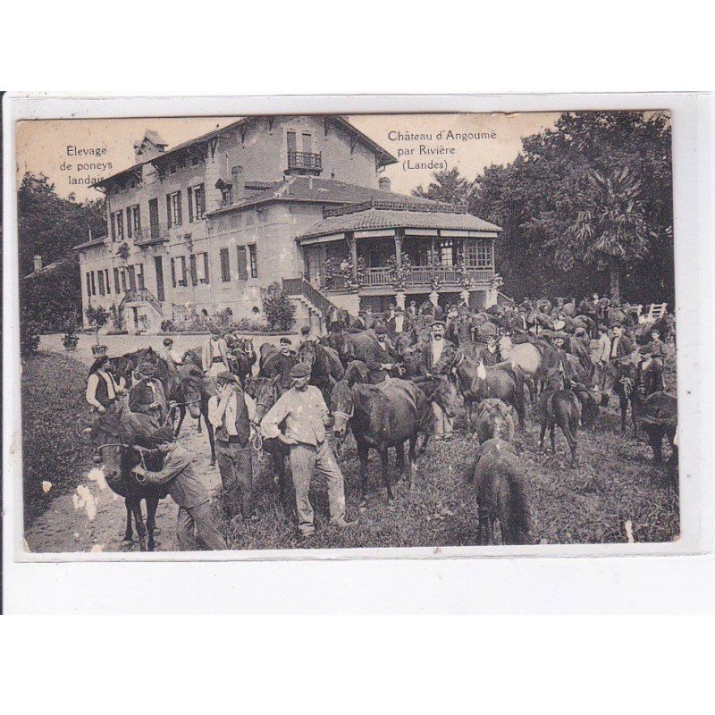 LANDES: château d'angoumé par rivière, élevage de poneys landais - état