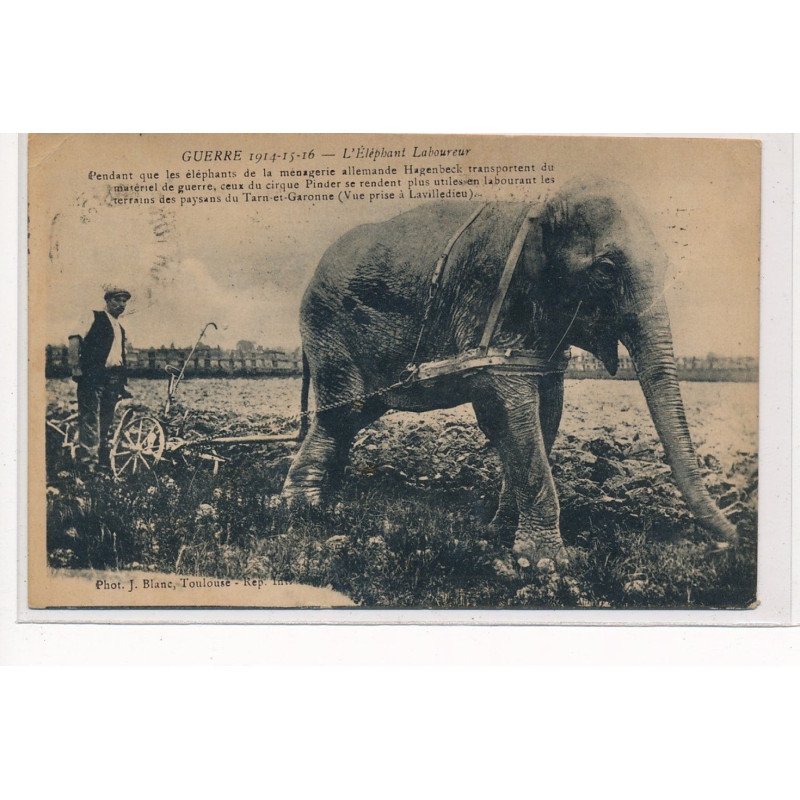 LAVILLEDIEU : l'elephant laboureur, ce rendant plus utile à labourer qu'à transporter matériel de guerre - tres bon etat LAVILLEDIEU : l'elephant laboureur, ce rendant plus utile à labourer qu'à transporter matériel de guerre - tres bon etat