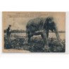 LAVILLEDIEU : l'elephant laboureur, ce rendant plus utile à labourer qu'à transporter matériel de guerre - tres bon etat