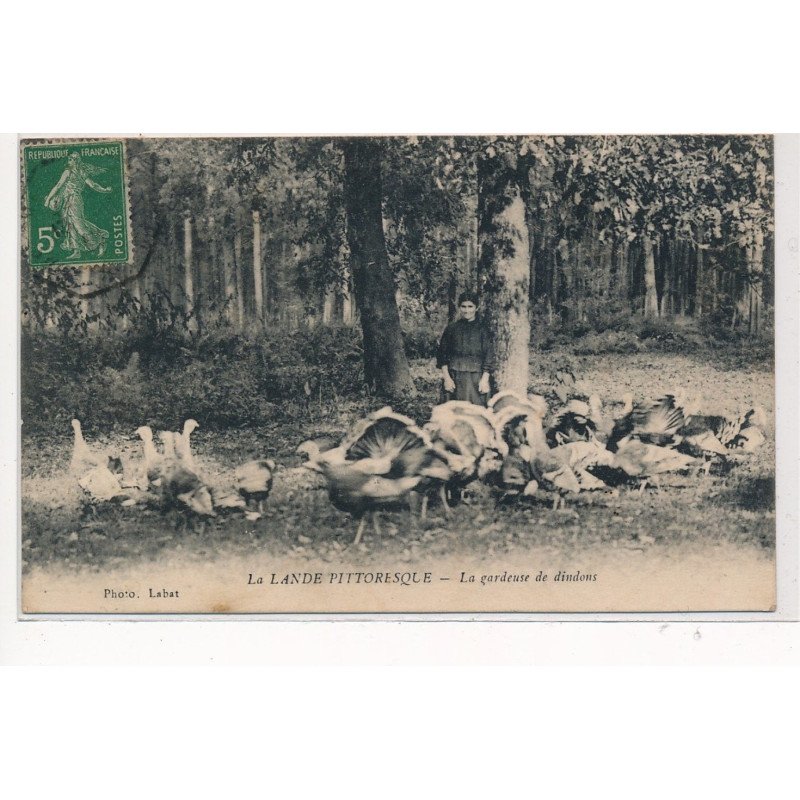 LANDE : la gardeuse de dindons - tres bon etat