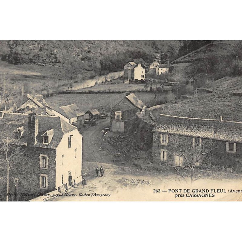 PONT DE GRAND FLEUL : vue generale - etat