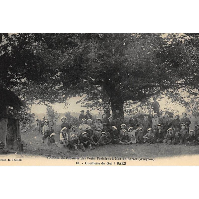 BARS : colonie de vacances des petits parisiens, cueillette du gui à bars - tres bon etat