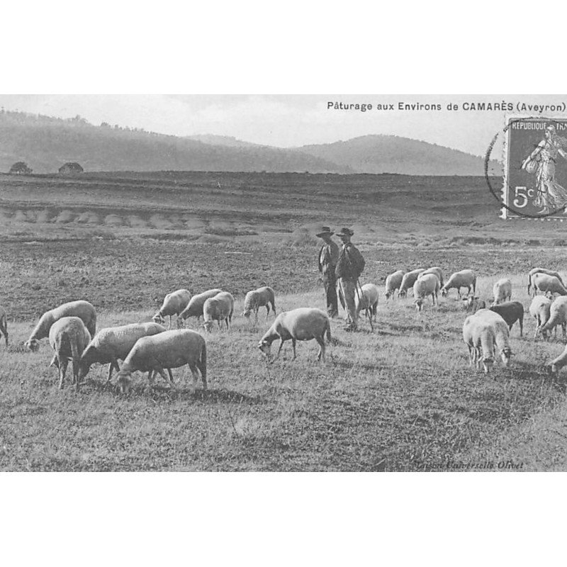 CAMARES : pâturage aux environs de camares - tres bon etat