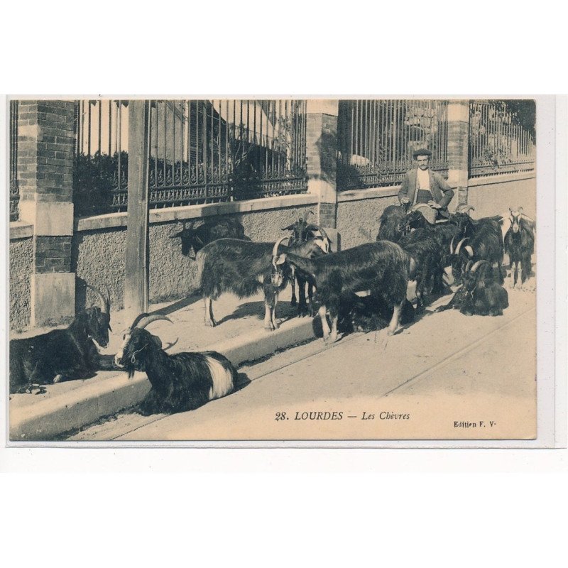 LOURDES : les chèvres - tres bon etat
