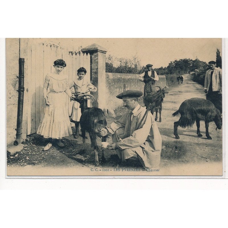 PYRENEES-ATLANTIQUES : chevrier - tres bon etat