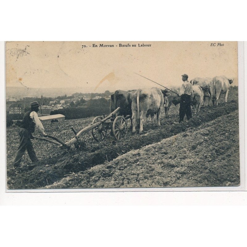 EN MORVAN : boeufs au labour - tres bon etat