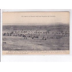 CANCALE: un match de basket-ball, l'oeuvre des pupilles de l'intransigeant, 10CPA, scout - très bon état