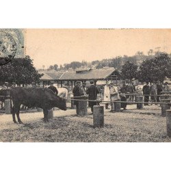 LISIEUX : la place du marché-aux-bestiaux - tres bon etat