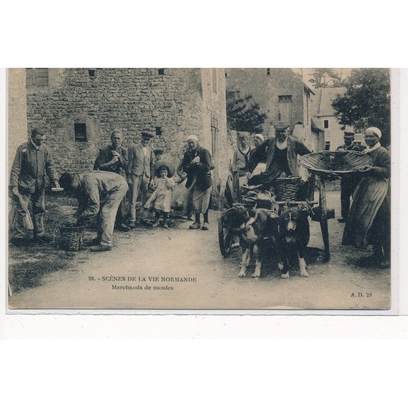 NORMANDIE : scene de la vie normande, marchands de moules, voiture à chien - tres bon etat