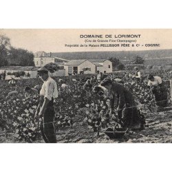COGNAC : domaine de lorimont, cru de grande fine champagne, maison pellisson pere - tres bon etat