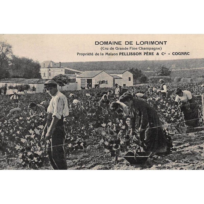 COGNAC : domaine de lorimont, cru de grande fine champagne, maison pellisson pere - tres bon etat