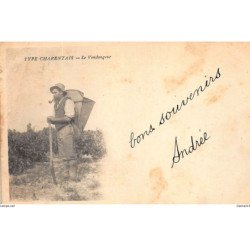 CHARENTE : le vendangeur - etat