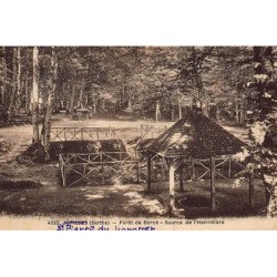SAINT-PIERRE-du-LOROUET : foret de bercé, source de l'hermitiere - tres bon etat