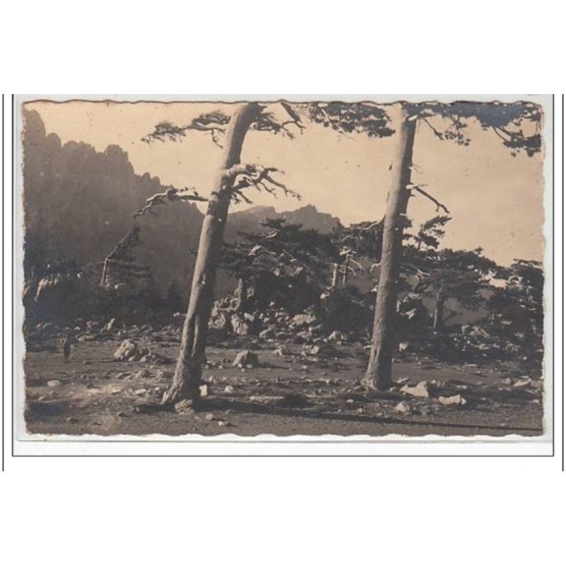 carte photo MORETTI - BAVELLA - très bon état