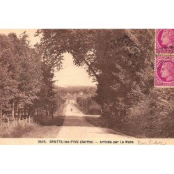BRETTE-les-PINS : arrivée par le mans - etat