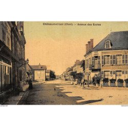 CHATEAUMEILLANT : avenue des ecoles, toillée - etat