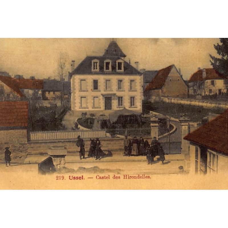 USSEL : castel des hirondelles - etat