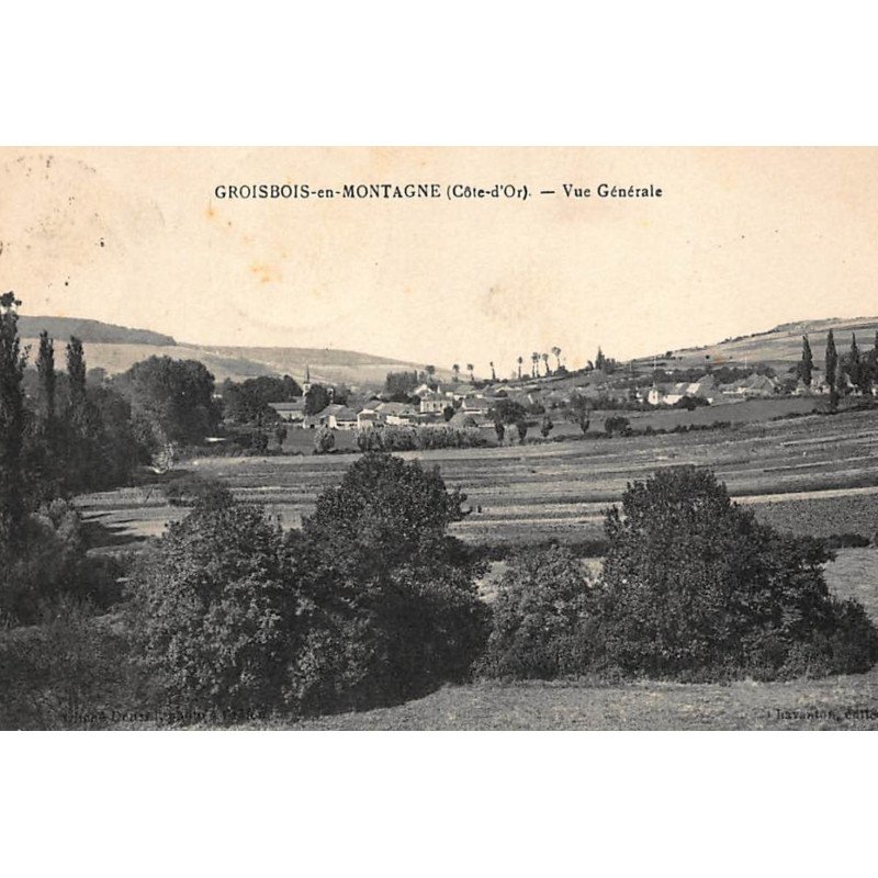 GROSBOIS-en-MONTAGNE : vue generale - tres bon etat