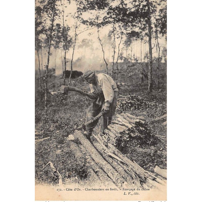 COTE D'OR : charbonniers en foret, forcage du chêne - tres bon etat