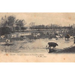 PONTAILLER-sur-SAONE : troupeau communale de pontailler-sur-saone - tres bon etat