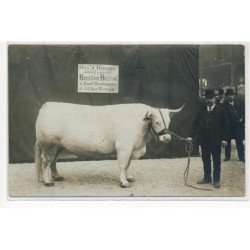 PARIS : concours agricole, boeuf, prix d'honneur bouillon bisson - tres bon etat