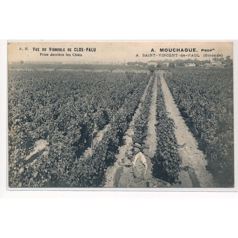 SAINT-VINCENT-DE-PAUL : vue du vignoble de clos-palu, prise derriere les chais, A. Mouchague - tres bon etat
