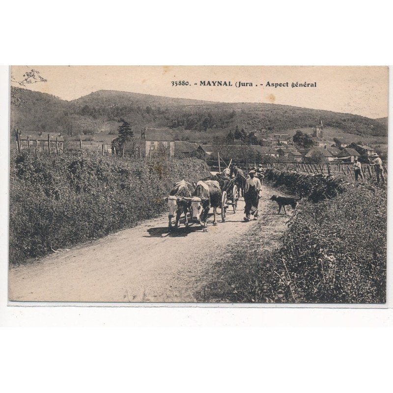 MAYNAL : aspect général, attelage - tres bon etat