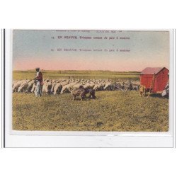 EN BEAUCE : troupeau sortant du parc a moutons - tres bon etat