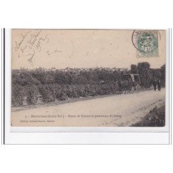 MONNIERES : route de nantes et panorama du bourg - tres bon etat