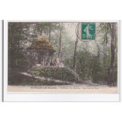 LA CHAPELLE-sur-AVEYRON : chateau des ballus ; une vue du parc - tres bon etat