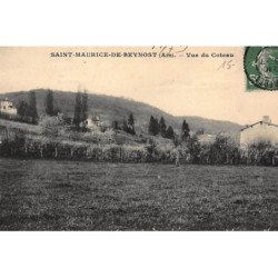 SAINT-MAURICE-de-BEYNOST : vue du coteau - tres bon etat