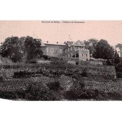 env. BELLEY : chateau de grammont - tres bon etat