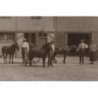 EPERNAY : lot de 5cpa, chevaux, marechal-ferrand, attelage - tres bon etat