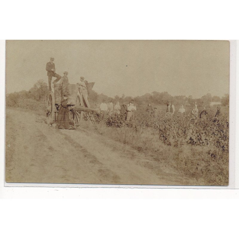 CARTE PHOTO A LOCALISER : scene de vendanges - tres bon etat