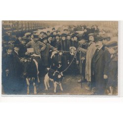 CARTE PHOTO A LOCALISER : paris(?) salon de l'agriculture - tres bon etat