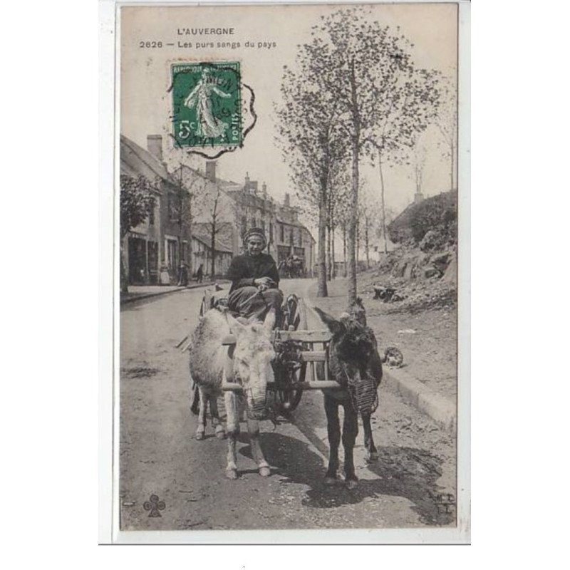 Les purs sang du pays (attelage - ânes)- très bon état Les purs sang du pays (attelage - ânes)- très bon état