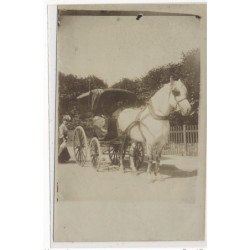 CARTE PHOTO A LOCALISER : attelage - tres bon etat